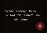 Image of Silkworm Cultivation in Japan Japan, 1934, second 8 stock footage video 65675025111