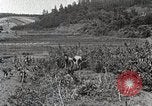 Image of Silkworm Cultivation in Japan Japan, 1934, second 9 stock footage video 65675025111