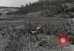 Image of Silkworm Cultivation in Japan Japan, 1934, second 11 stock footage video 65675025111