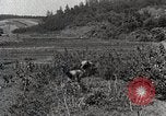 Image of Silkworm Cultivation in Japan Japan, 1934, second 12 stock footage video 65675025111