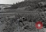 Image of Silkworm Cultivation in Japan Japan, 1934, second 13 stock footage video 65675025111