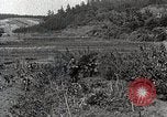 Image of Silkworm Cultivation in Japan Japan, 1934, second 15 stock footage video 65675025111