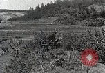 Image of Silkworm Cultivation in Japan Japan, 1934, second 16 stock footage video 65675025111
