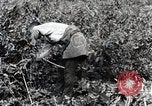 Image of Silkworm Cultivation in Japan Japan, 1934, second 19 stock footage video 65675025111