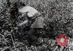 Image of Silkworm Cultivation in Japan Japan, 1934, second 20 stock footage video 65675025111