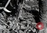 Image of Silkworm Cultivation in Japan Japan, 1934, second 26 stock footage video 65675025111