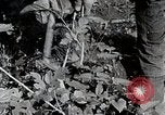 Image of Silkworm Cultivation in Japan Japan, 1934, second 27 stock footage video 65675025111