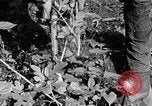 Image of Silkworm Cultivation in Japan Japan, 1934, second 28 stock footage video 65675025111