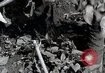 Image of Silkworm Cultivation in Japan Japan, 1934, second 31 stock footage video 65675025111