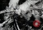 Image of Silkworm Cultivation in Japan Japan, 1934, second 32 stock footage video 65675025111