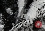 Image of Silkworm Cultivation in Japan Japan, 1934, second 33 stock footage video 65675025111