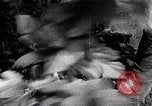 Image of Silkworm Cultivation in Japan Japan, 1934, second 35 stock footage video 65675025111