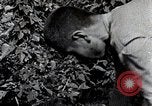 Image of Silkworm Cultivation in Japan Japan, 1934, second 42 stock footage video 65675025111