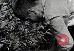 Image of Silkworm Cultivation in Japan Japan, 1934, second 43 stock footage video 65675025111
