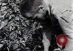 Image of Silkworm Cultivation in Japan Japan, 1934, second 44 stock footage video 65675025111