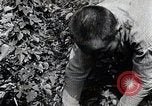 Image of Silkworm Cultivation in Japan Japan, 1934, second 45 stock footage video 65675025111