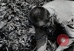 Image of Silkworm Cultivation in Japan Japan, 1934, second 47 stock footage video 65675025111