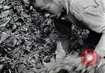 Image of Silkworm Cultivation in Japan Japan, 1934, second 49 stock footage video 65675025111