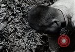 Image of Silkworm Cultivation in Japan Japan, 1934, second 51 stock footage video 65675025111