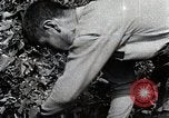 Image of Silkworm Cultivation in Japan Japan, 1934, second 52 stock footage video 65675025111