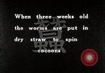 Image of Silk Production in Japan Japan, 1934, second 3 stock footage video 65675025112