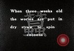 Image of Silk Production in Japan Japan, 1934, second 4 stock footage video 65675025112