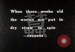 Image of Silk Production in Japan Japan, 1934, second 5 stock footage video 65675025112