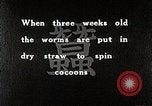Image of Silk Production in Japan Japan, 1934, second 6 stock footage video 65675025112