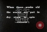 Image of Silk Production in Japan Japan, 1934, second 7 stock footage video 65675025112