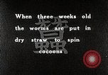 Image of Silk Production in Japan Japan, 1934, second 9 stock footage video 65675025112
