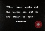 Image of Silk Production in Japan Japan, 1934, second 11 stock footage video 65675025112