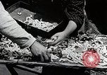Image of Silk Production in Japan Japan, 1934, second 13 stock footage video 65675025112