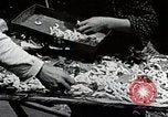 Image of Silk Production in Japan Japan, 1934, second 14 stock footage video 65675025112