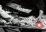 Image of Silk Production in Japan Japan, 1934, second 15 stock footage video 65675025112
