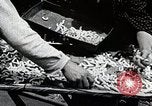 Image of Silk Production in Japan Japan, 1934, second 16 stock footage video 65675025112