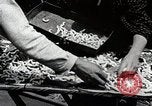 Image of Silk Production in Japan Japan, 1934, second 17 stock footage video 65675025112