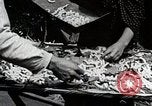 Image of Silk Production in Japan Japan, 1934, second 22 stock footage video 65675025112