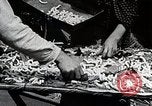 Image of Silk Production in Japan Japan, 1934, second 23 stock footage video 65675025112