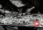 Image of Silk Production in Japan Japan, 1934, second 26 stock footage video 65675025112