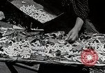 Image of Silk Production in Japan Japan, 1934, second 29 stock footage video 65675025112