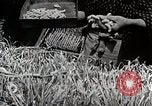Image of Silk Production in Japan Japan, 1934, second 33 stock footage video 65675025112