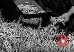 Image of Silk Production in Japan Japan, 1934, second 34 stock footage video 65675025112