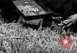 Image of Silk Production in Japan Japan, 1934, second 35 stock footage video 65675025112