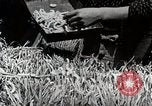 Image of Silk Production in Japan Japan, 1934, second 37 stock footage video 65675025112