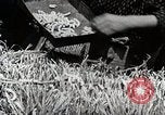 Image of Silk Production in Japan Japan, 1934, second 38 stock footage video 65675025112