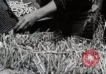 Image of Silk Production in Japan Japan, 1934, second 44 stock footage video 65675025112