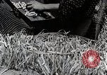 Image of Silk Production in Japan Japan, 1934, second 45 stock footage video 65675025112