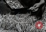 Image of Silk Production in Japan Japan, 1934, second 46 stock footage video 65675025112