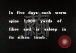 Image of Silk Production in Japan Japan, 1934, second 56 stock footage video 65675025112