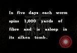 Image of Silk Production in Japan Japan, 1934, second 57 stock footage video 65675025112